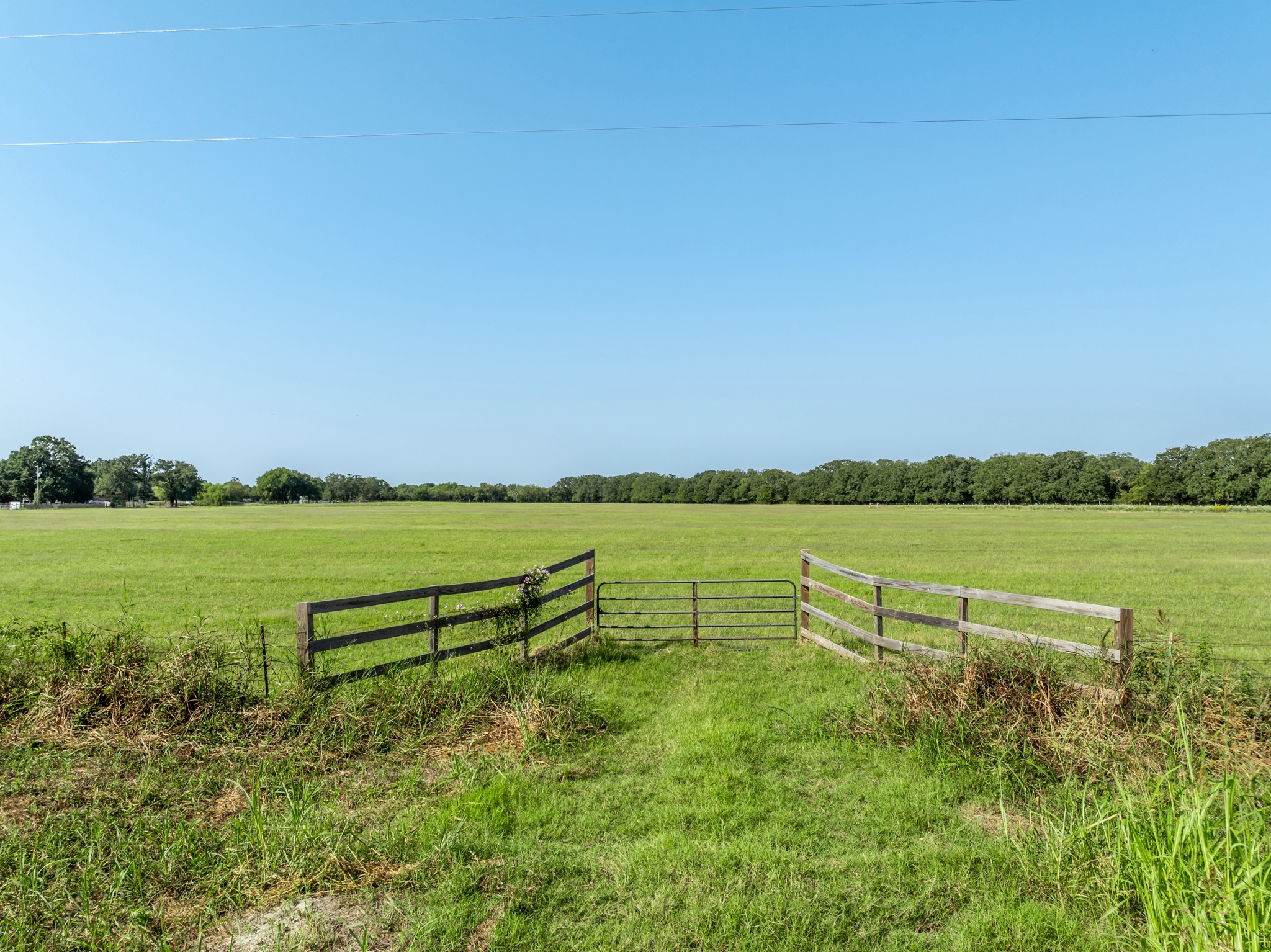 Tbd County Road 155 Property Photo 14