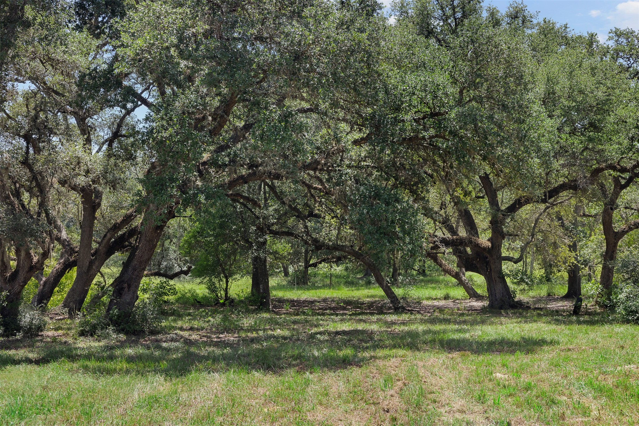 1080 Muddy Creek Road Property Photo 2