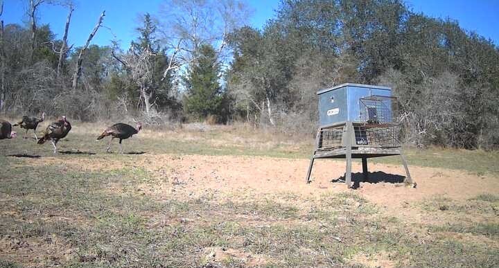 1080 Muddy Creek Road Property Photo 12