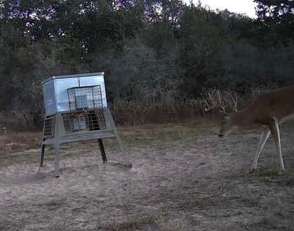 1080 Muddy Creek Road Property Photo 24