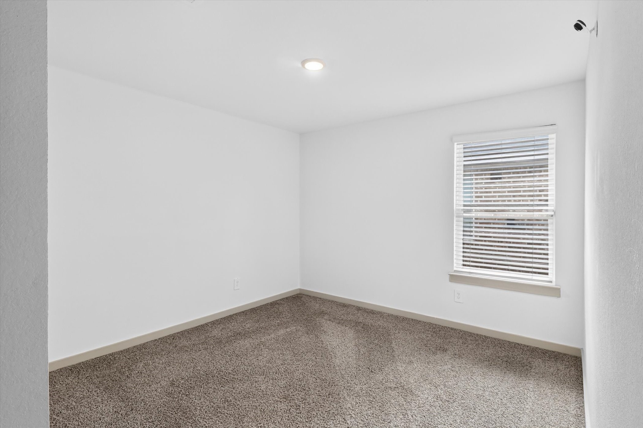 7907 Sleek Flock Lane Property Photo 19