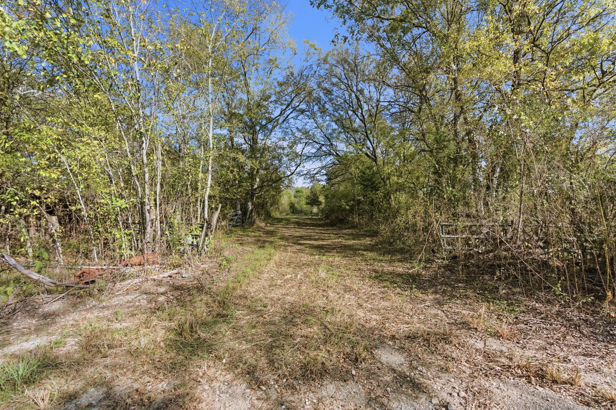 Tbd County Rd 204 Property Photo 2