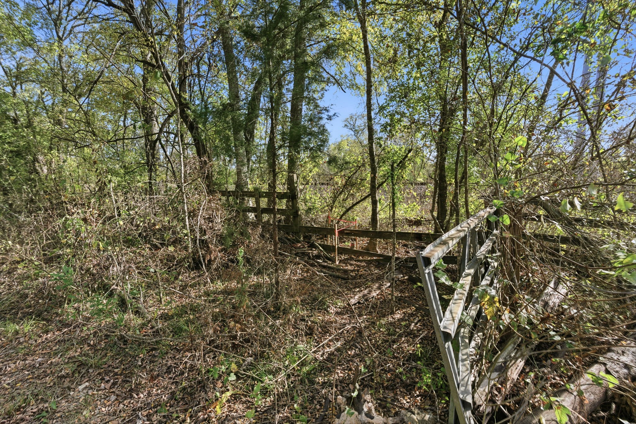 Tbd County Rd 204 Property Photo 3