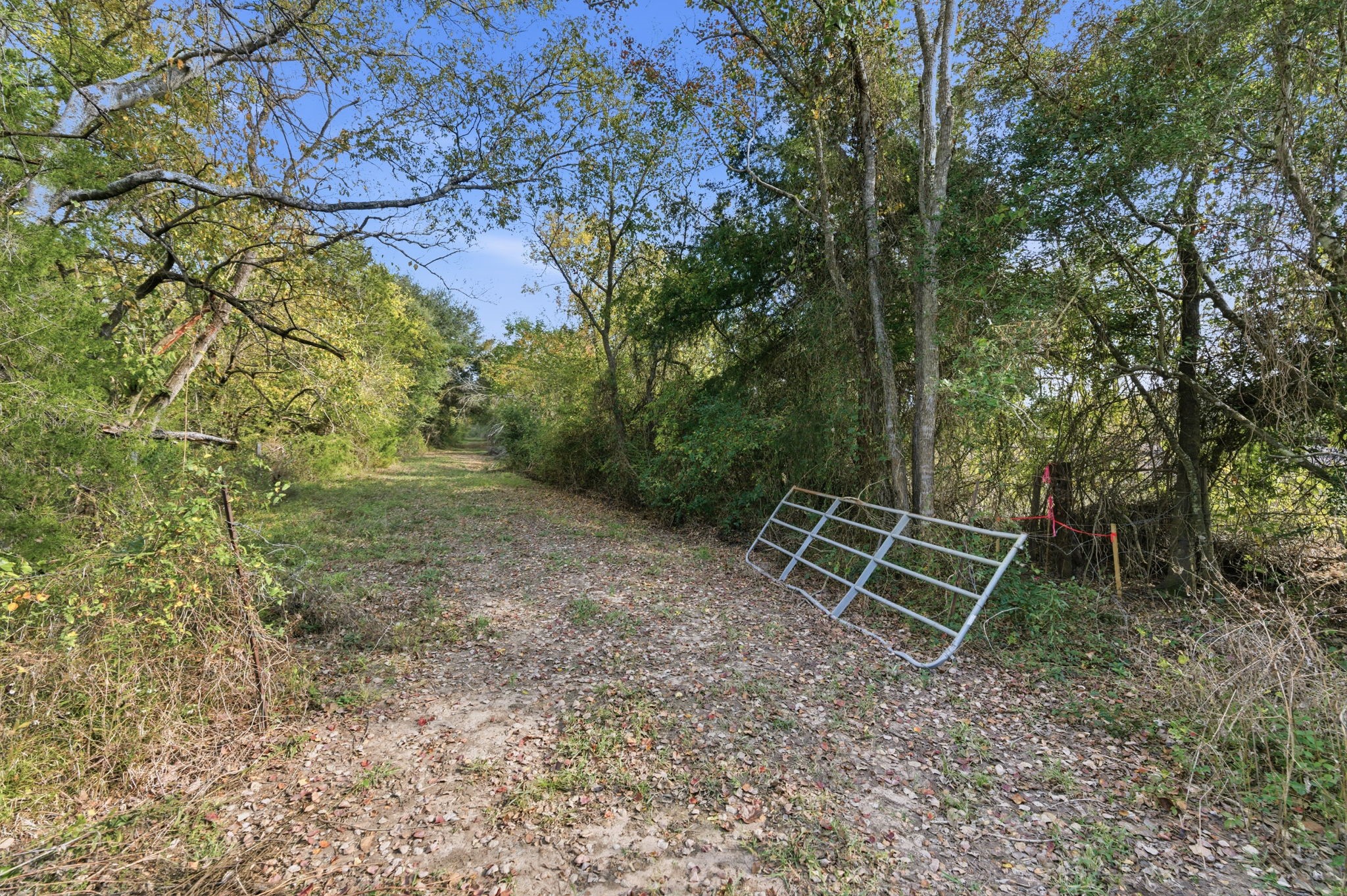 Tbd County Rd 204 Property Photo 4
