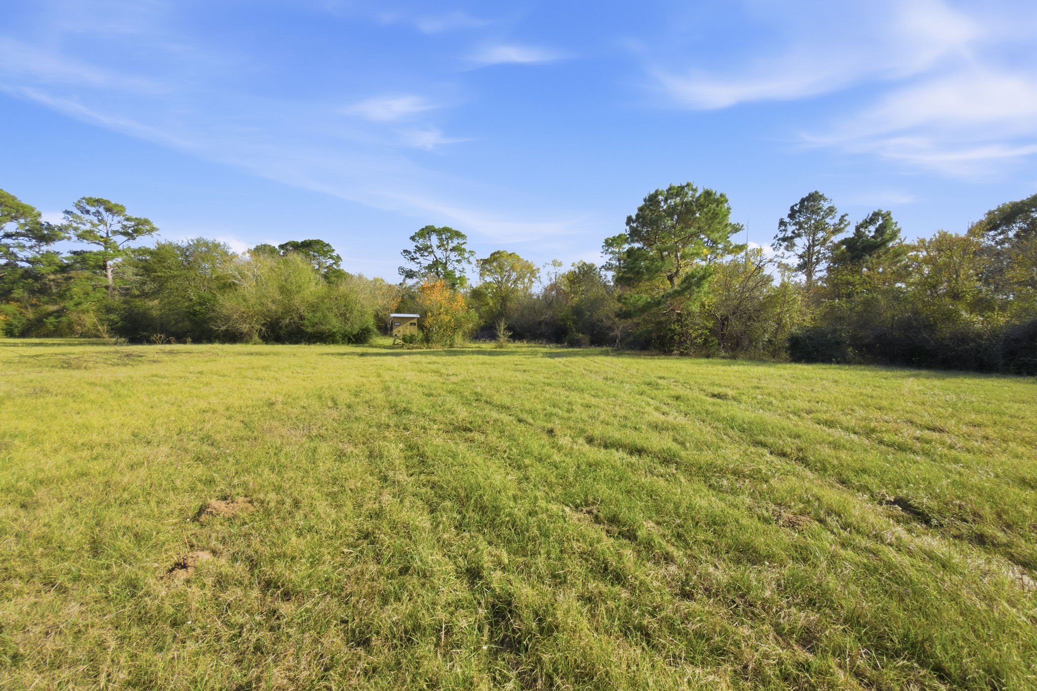 Tbd County Rd 204 Property Photo 6