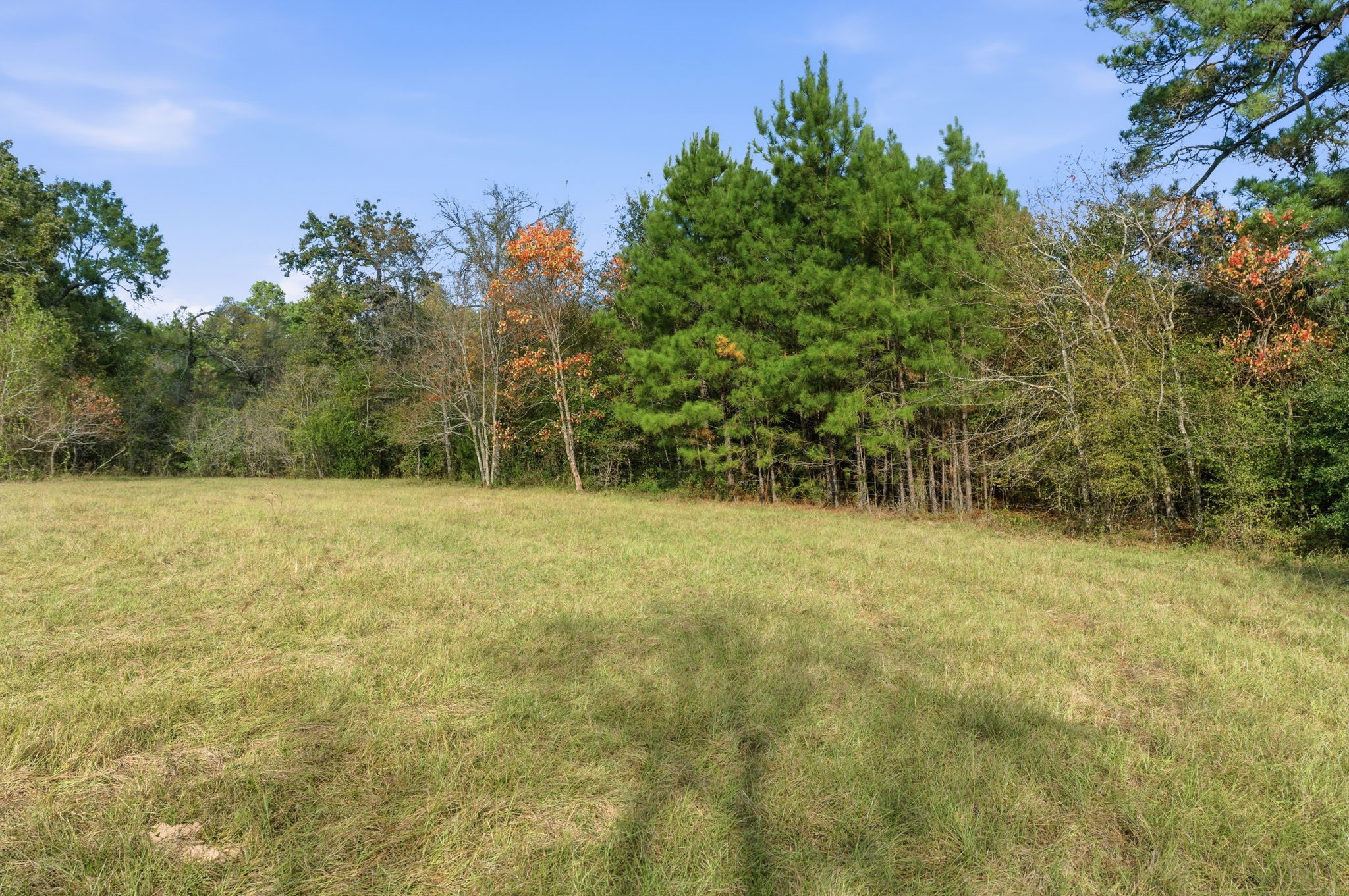 Tbd County Rd 204 Property Photo 7