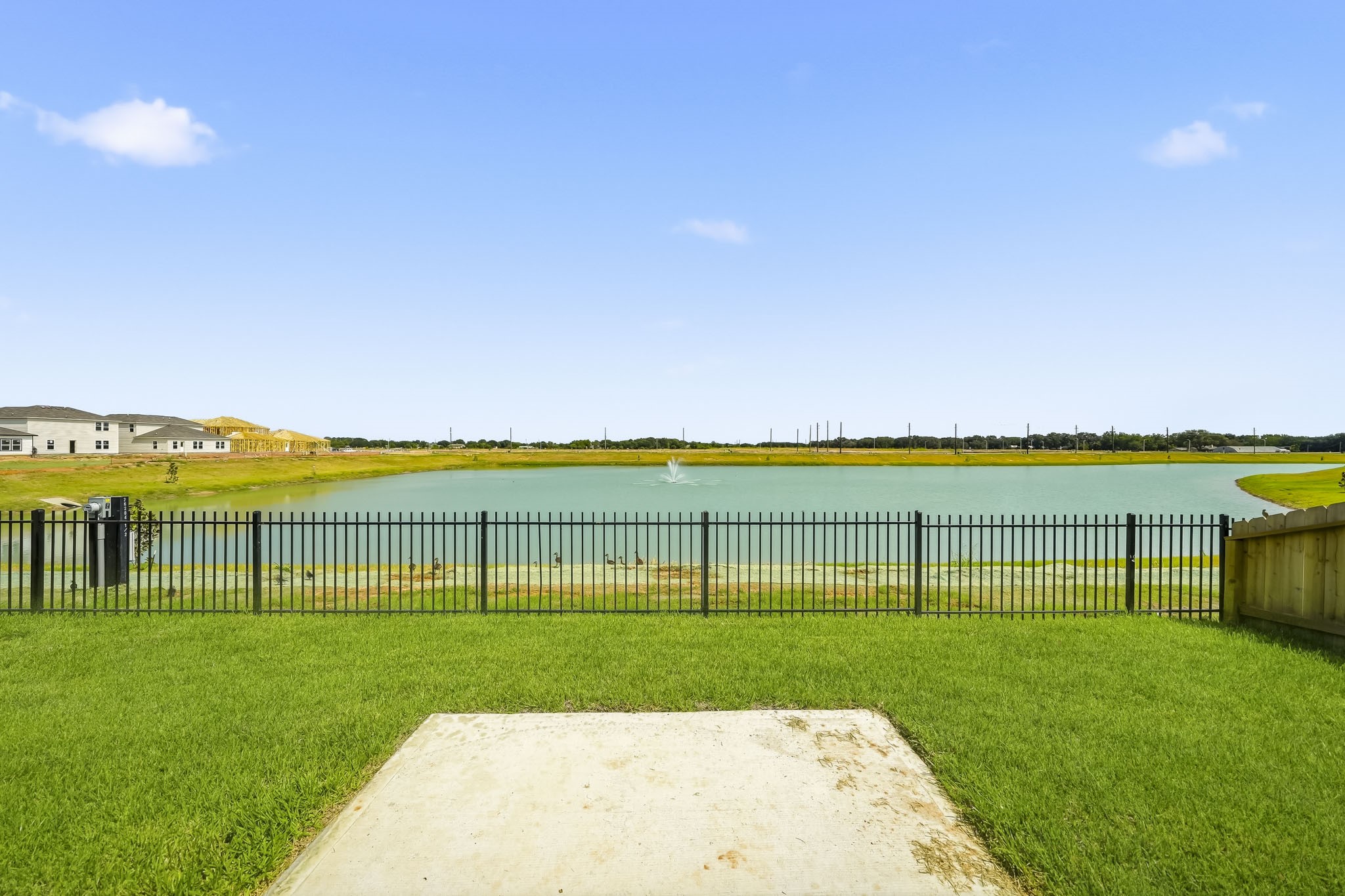 26206 Venus Trap Trail Property Photo 19