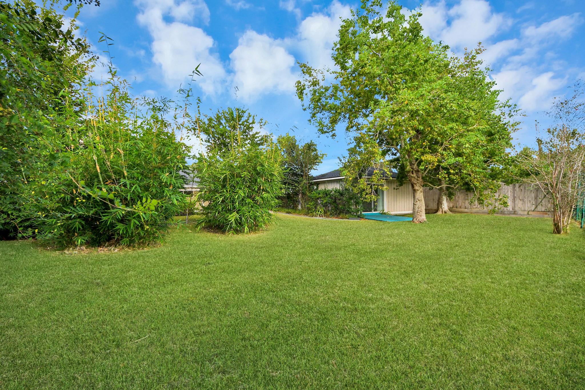 10303 Greenwillow Street Property Photo 44