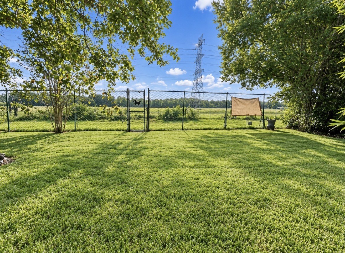10303 Greenwillow Street Property Photo 47
