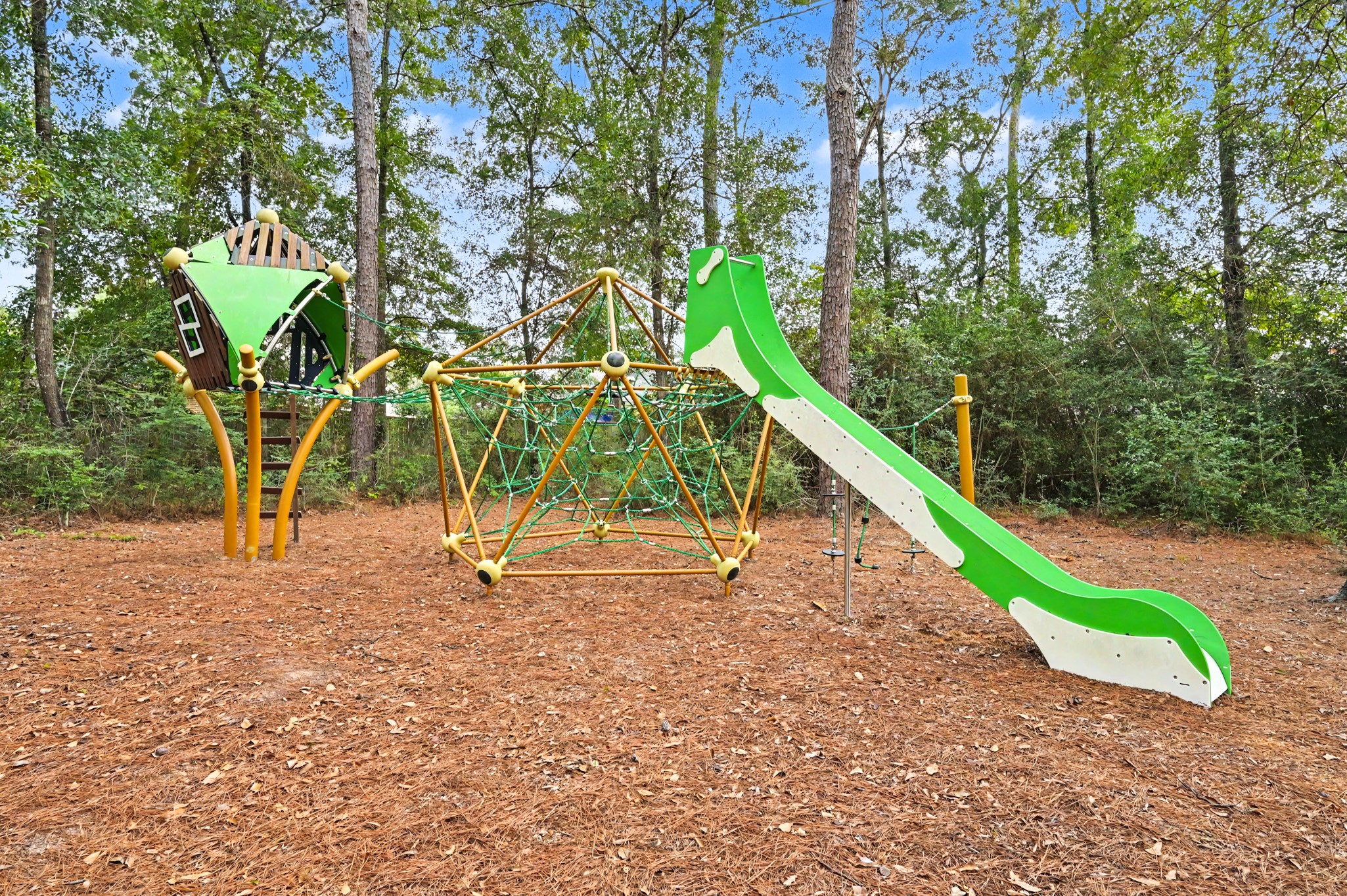 2901 Green Ash Court Property Photo 48