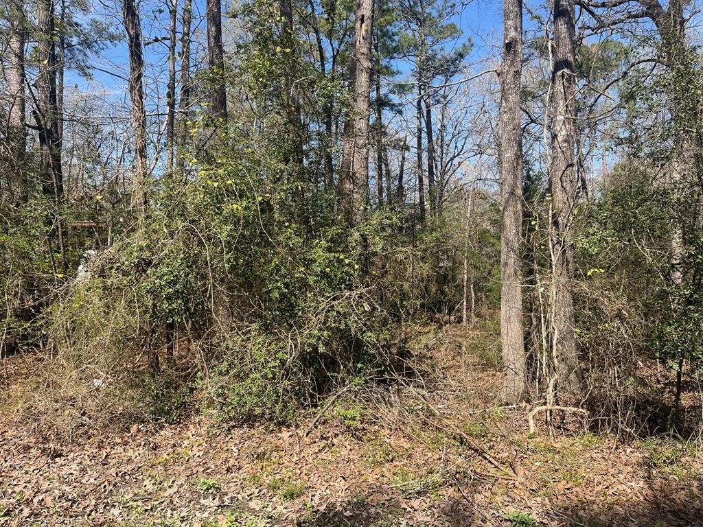 3-229 Meridian Property Photo 1