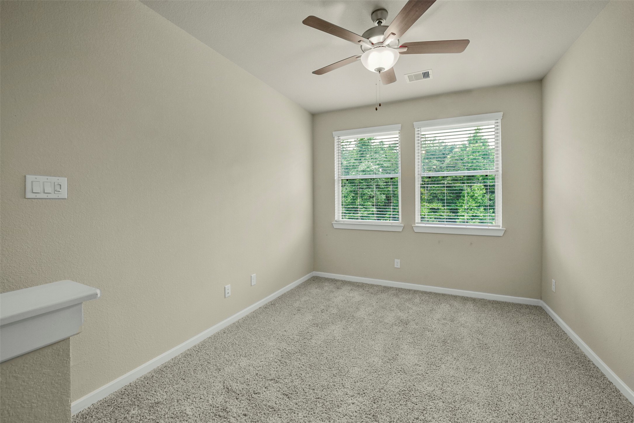 323 Spotted Fern Property Photo 19