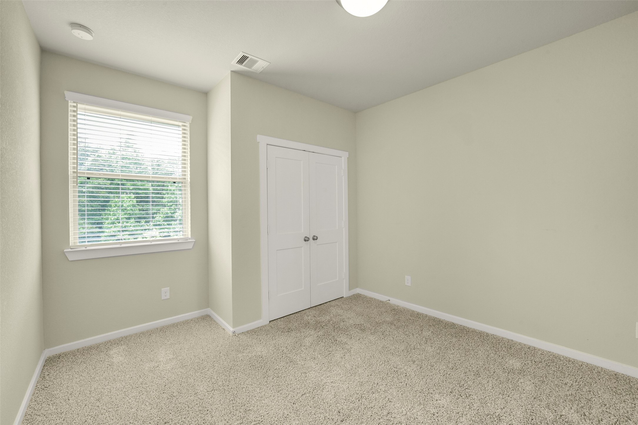323 Spotted Fern Property Photo 26