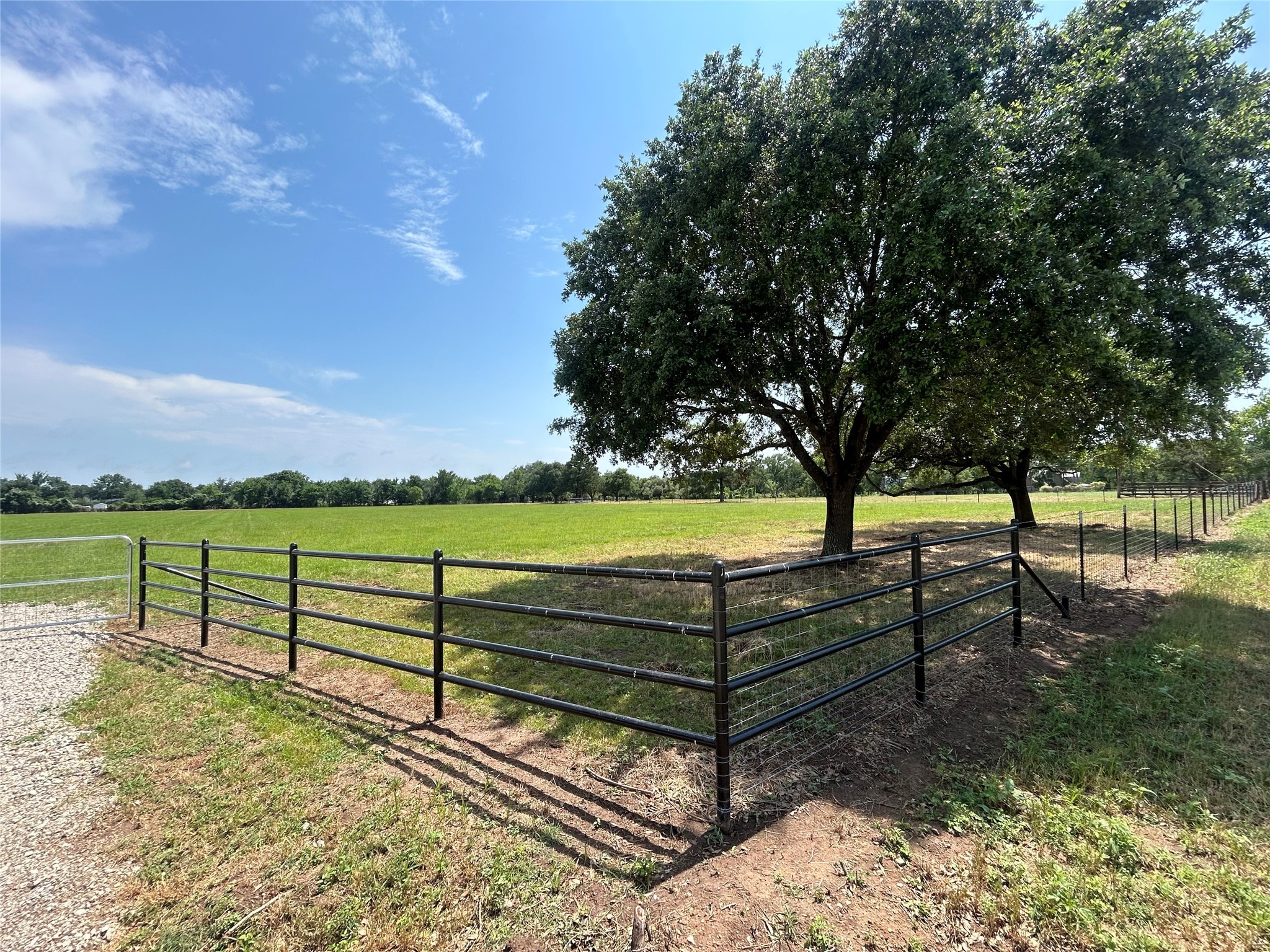 38785 Wiggins Road Property Photo 1