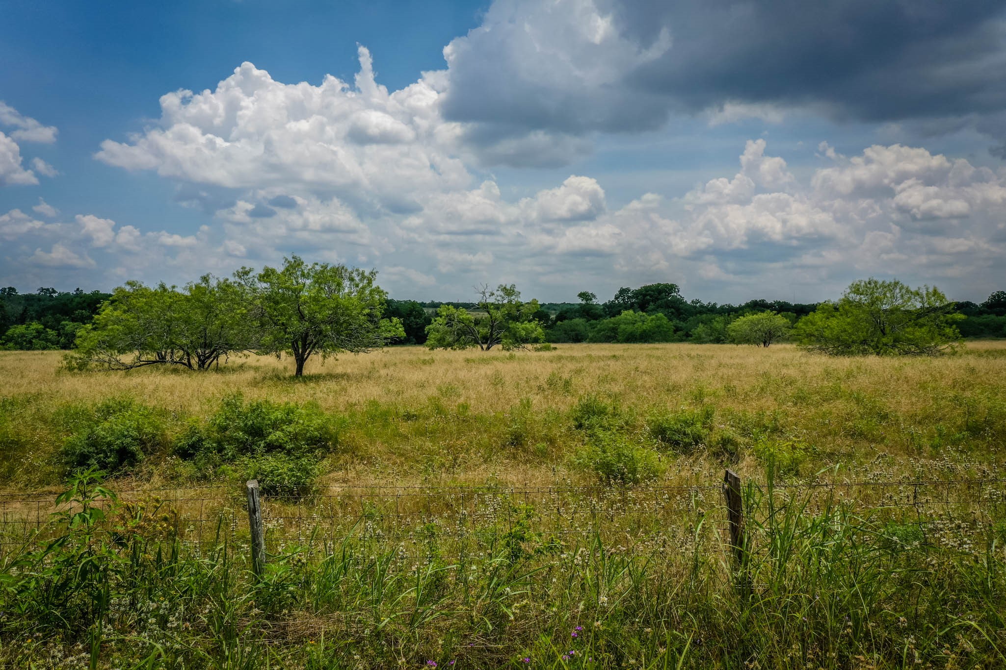 000 County Road 447 Property Photo 1