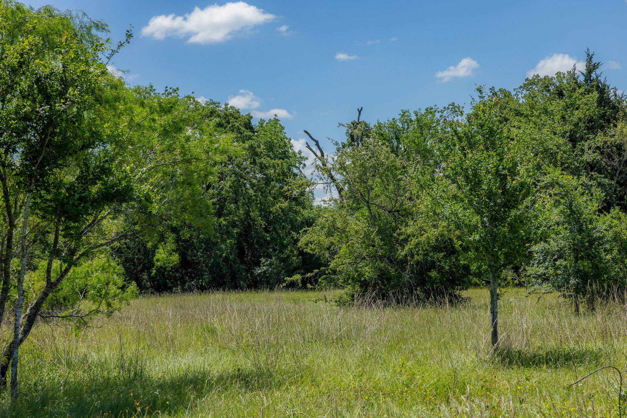 6558 Atakapan Trail Property Photo 1