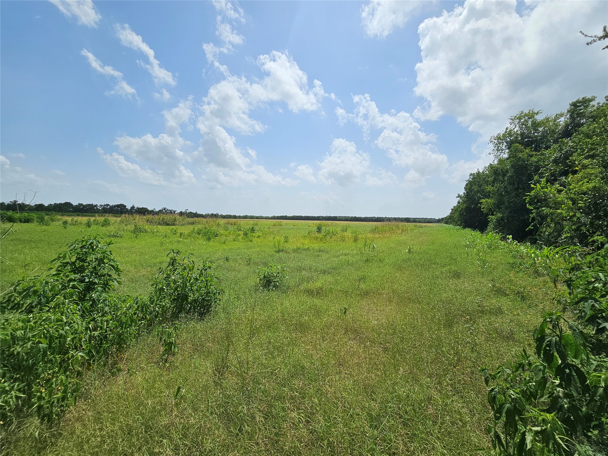 North Parcel Peters Road Property Photo 2