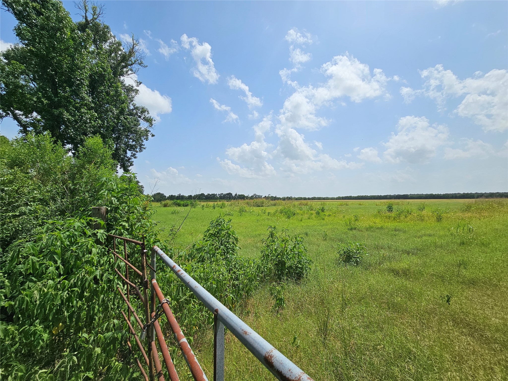 North Parcel Peters Road Property Photo 6