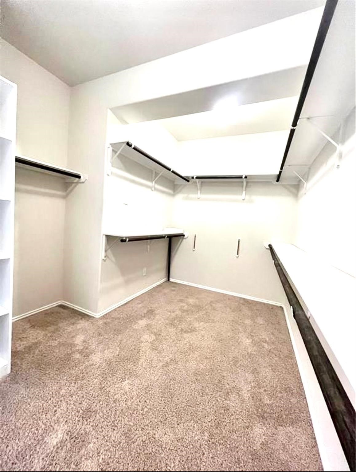 13811 Giant Panda Bear Avenue Property Photo 18