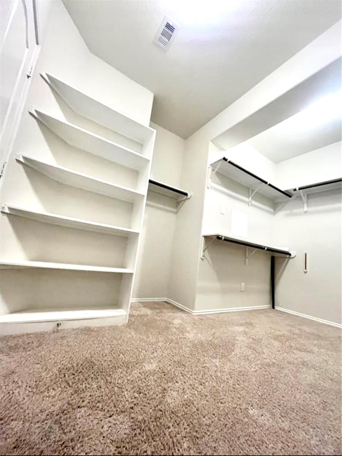 13811 Giant Panda Bear Avenue Property Photo 19