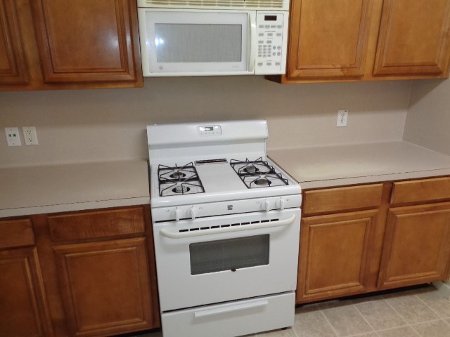 17323 Indigo Mist Court Property Photo 6