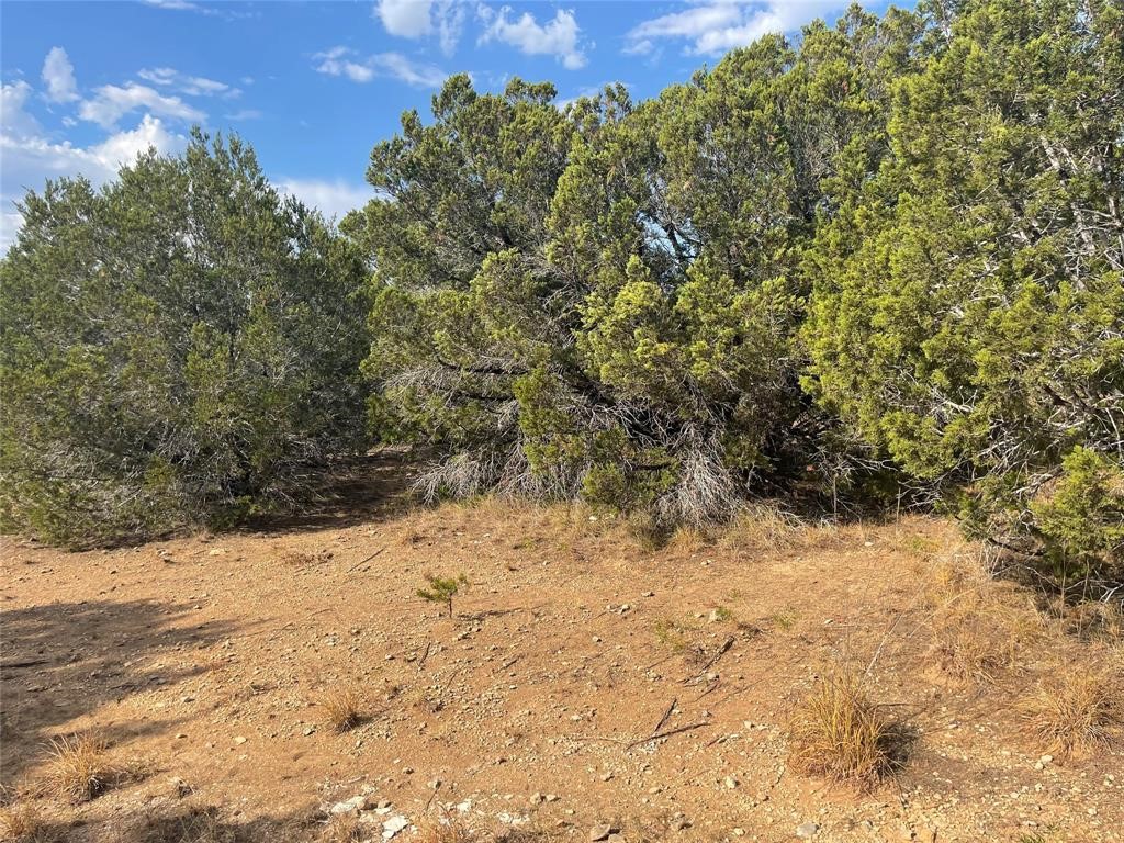 2221 Rocky Ridge Loop Property Photo 4
