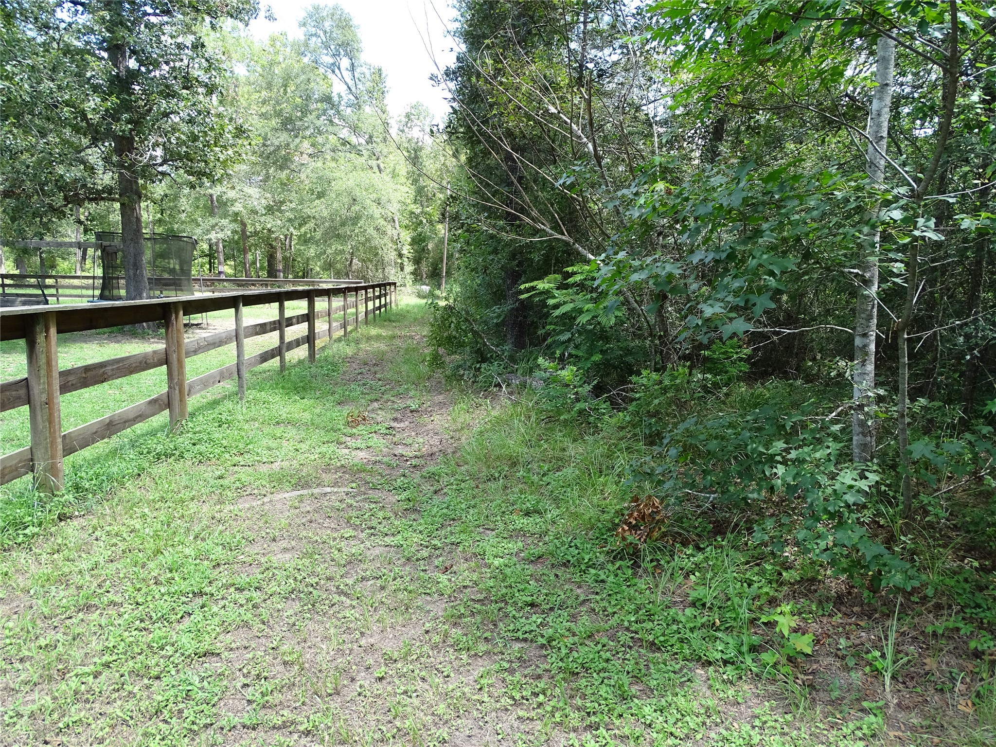 3675 Woodpeckers Grove Property Photo 14