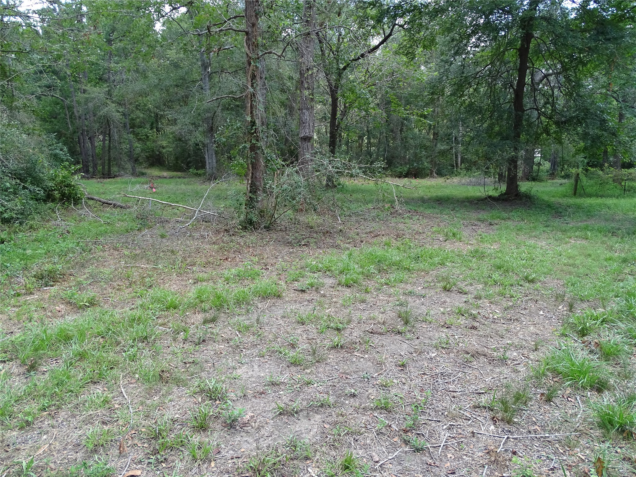 3675 Woodpeckers Grove Property Photo 15