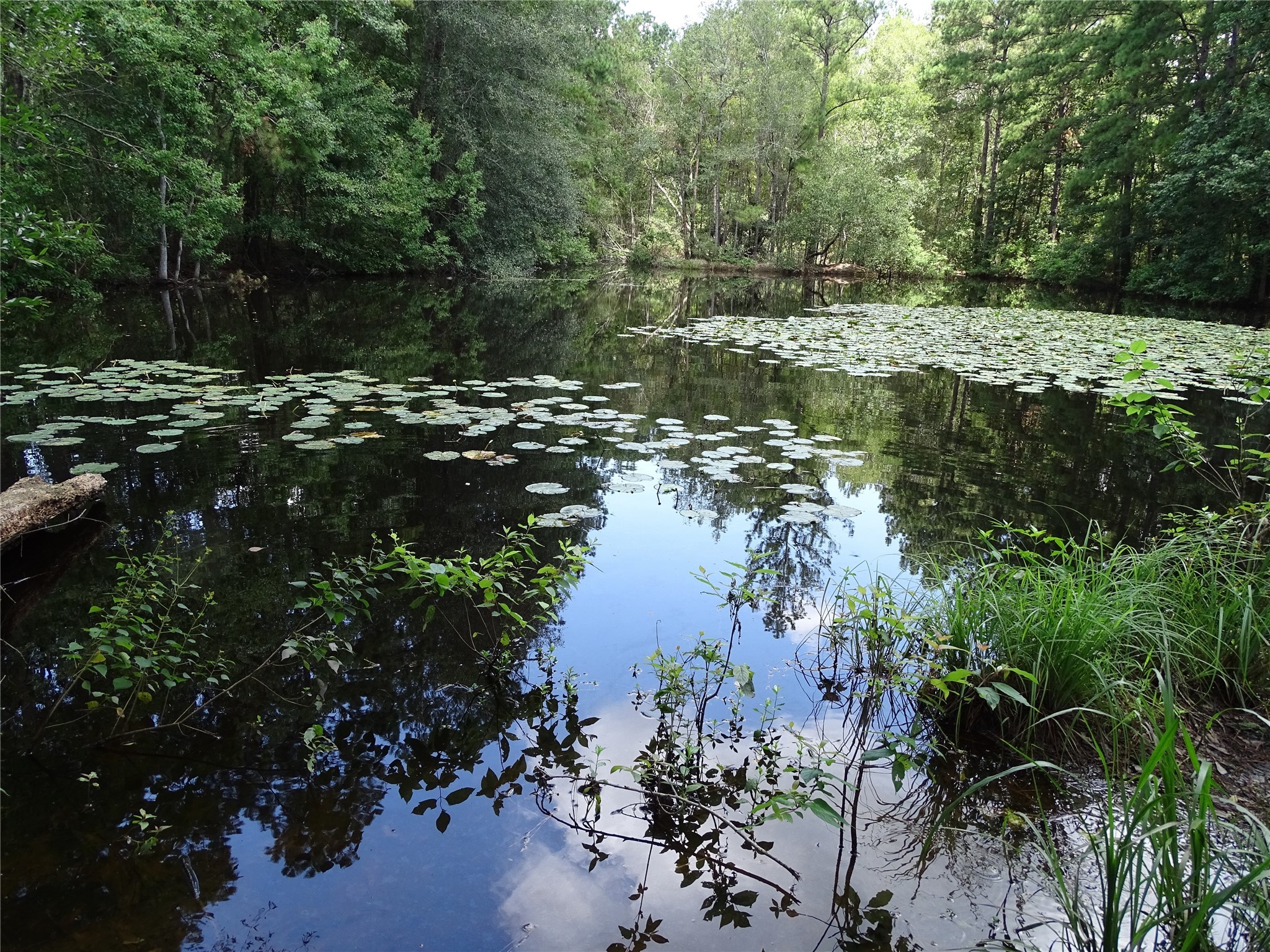 3675 Woodpeckers Grove Property Photo 17
