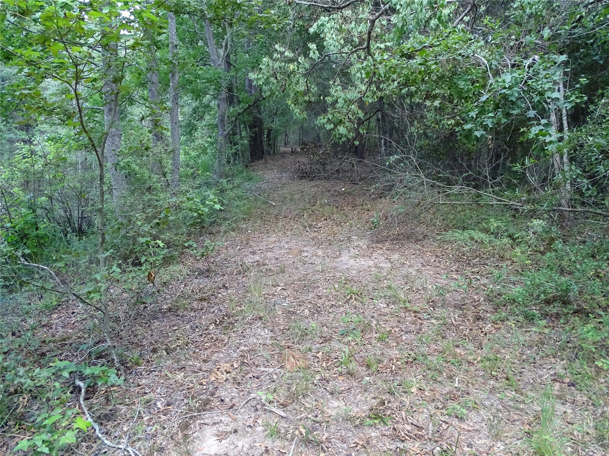 3675 Woodpeckers Grove Property Photo 18
