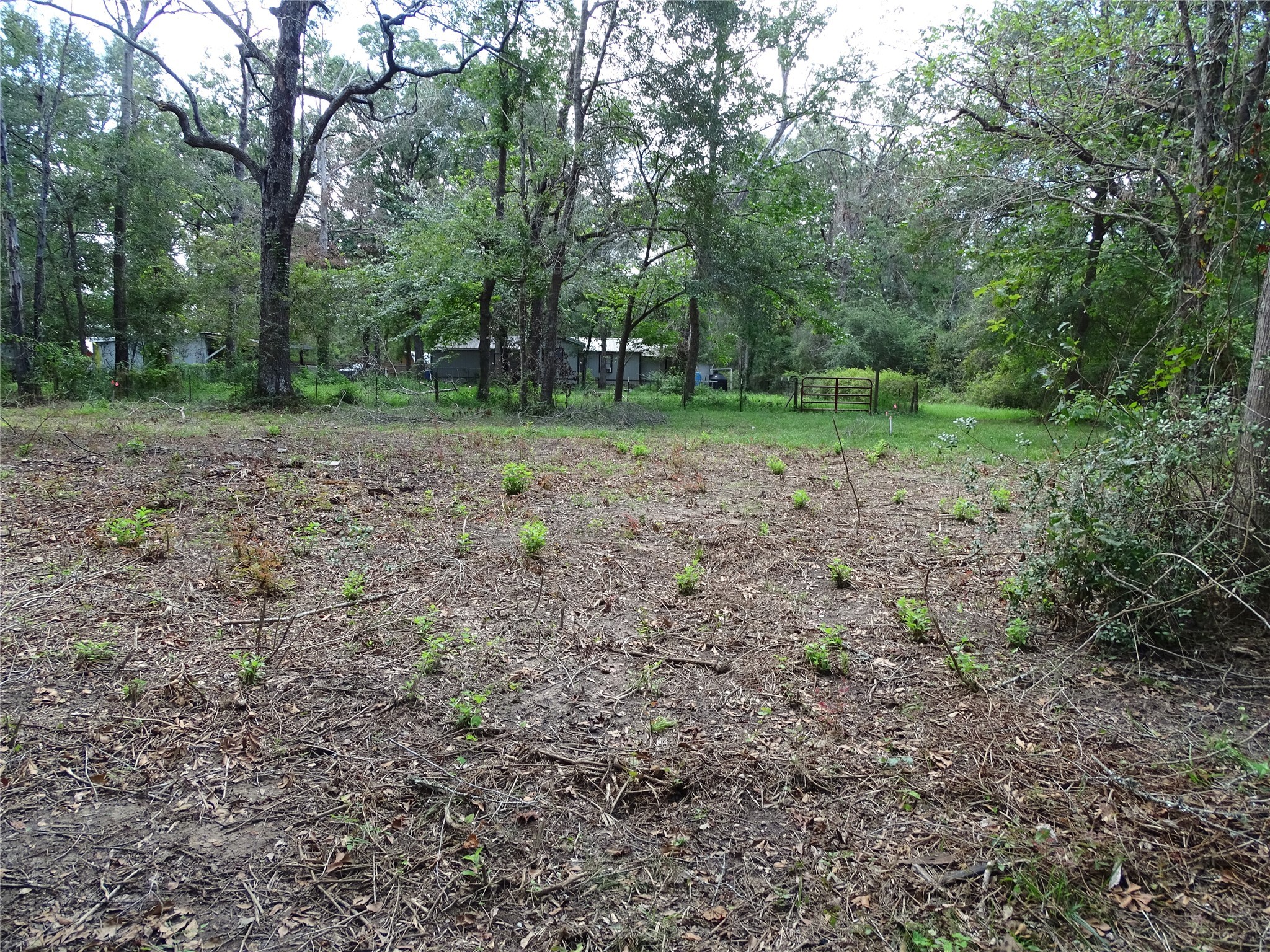 3675 Woodpeckers Grove Property Photo 20