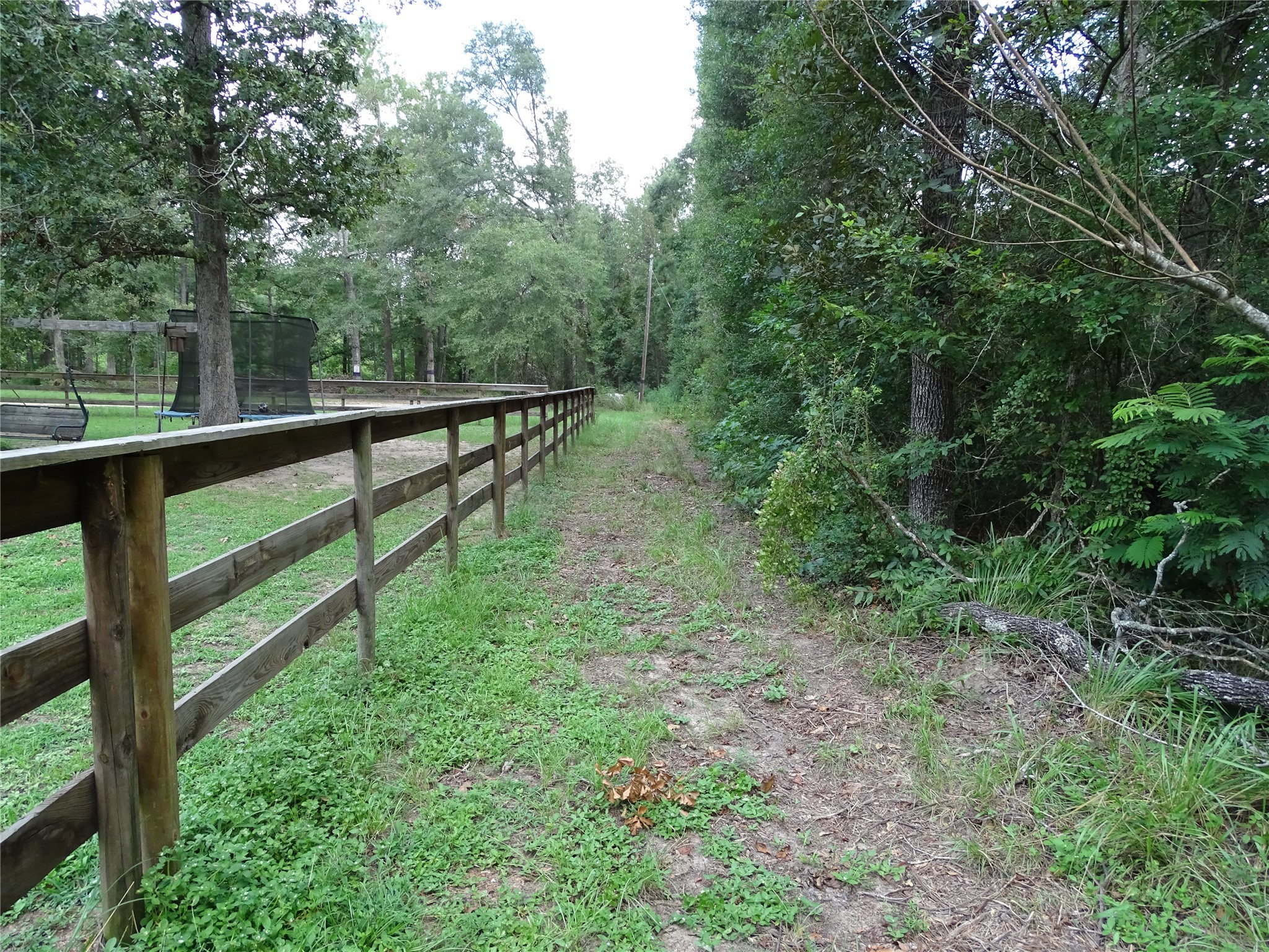 3675 Woodpeckers Grove Property Photo 22