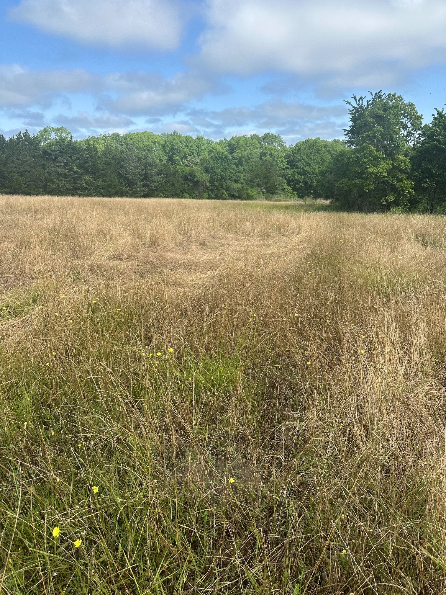 10740 Shepard Hill Road Property Photo 2
