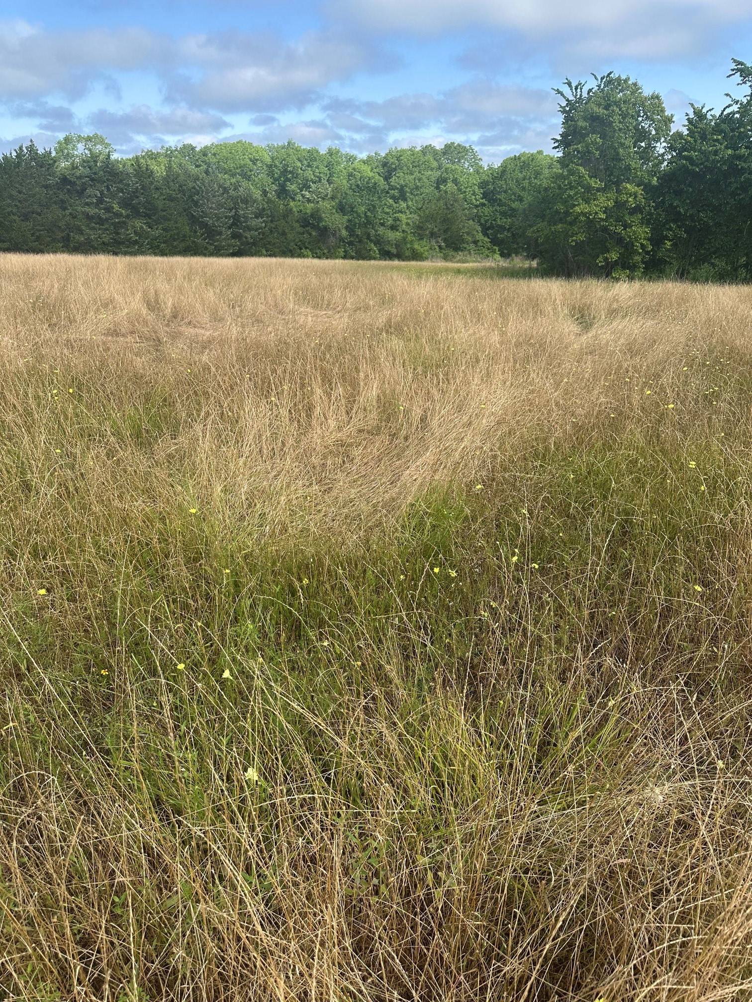 10740 Shepard Hill Road Property Photo 4