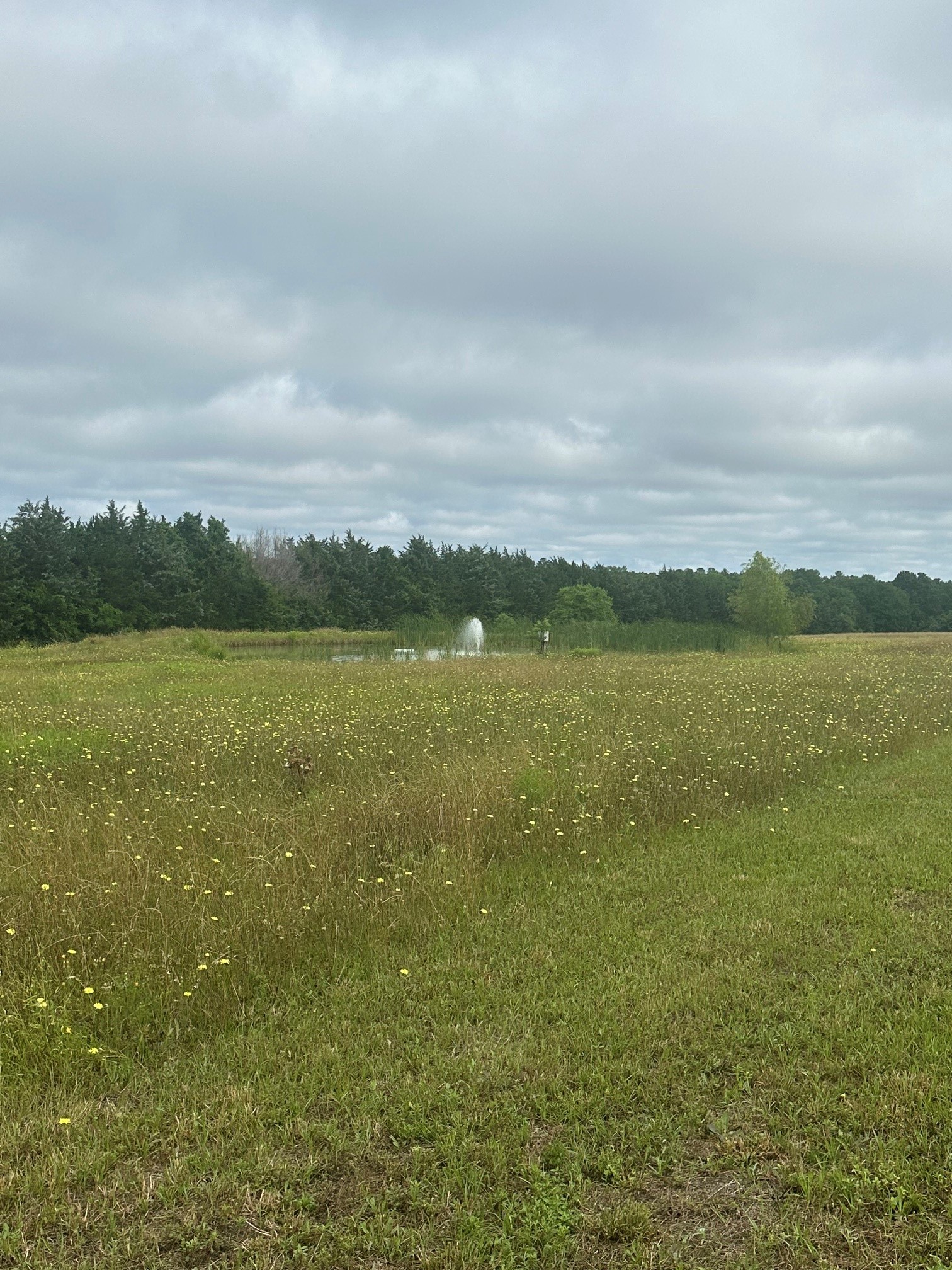 10740 Shepard Hill Road Property Photo 5