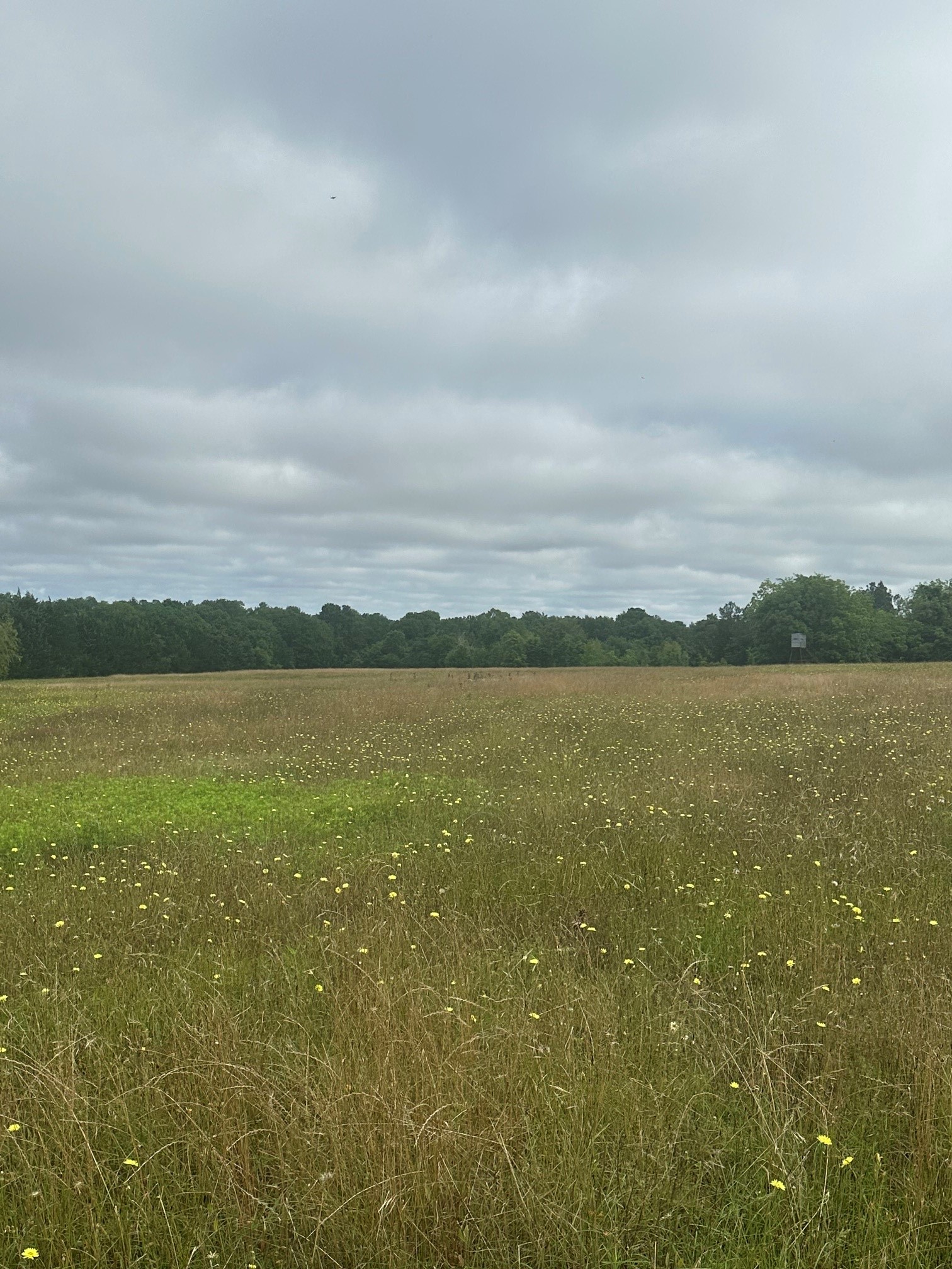 10740 Shepard Hill Road Property Photo 6