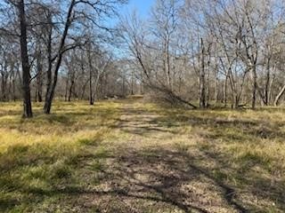 15530 Tierra Grande Drive Property Photo 4