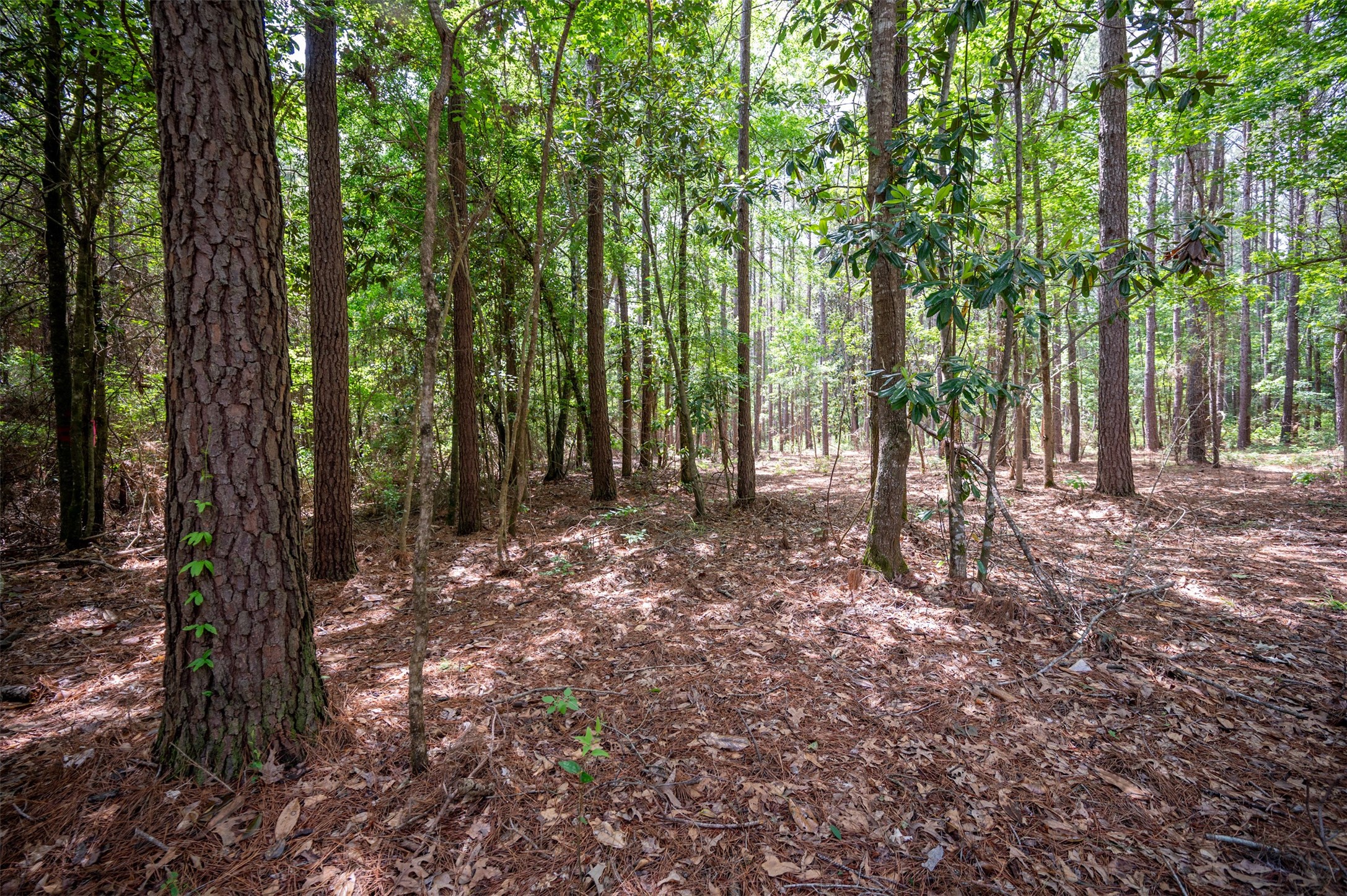 Tbd Tile Plant Road Property Photo