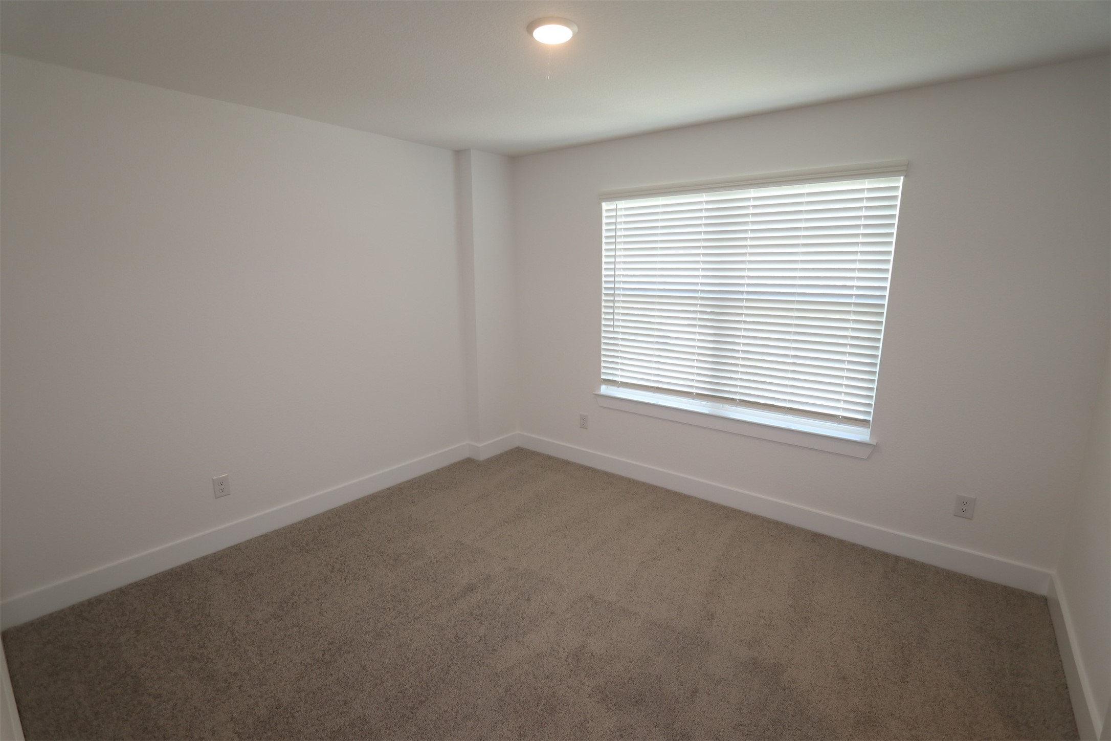 2019 Wheat Pasture Way Property Photo 20