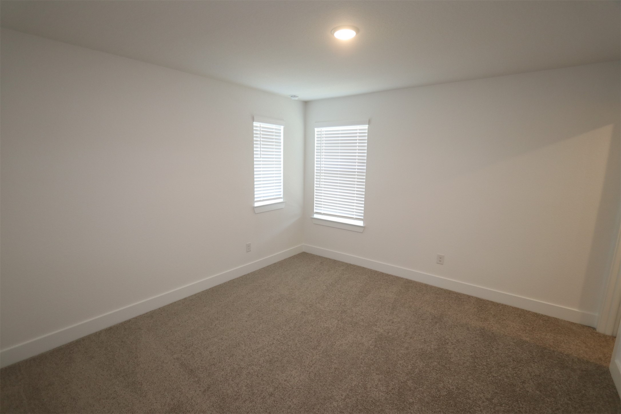 2019 Wheat Pasture Way Property Photo 23