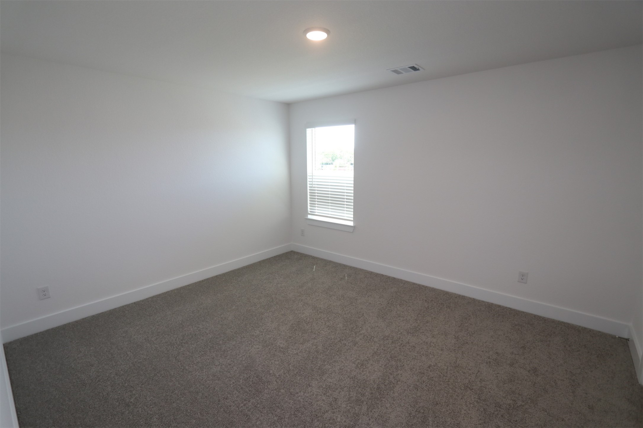 2019 Wheat Pasture Way Property Photo 26