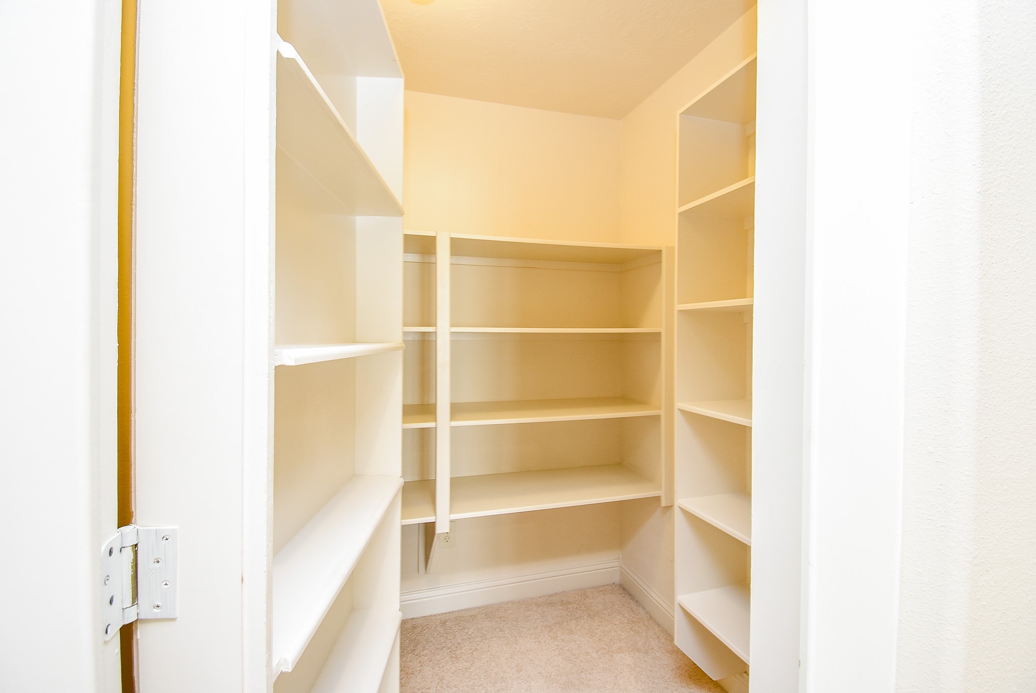 1611 Whitfield Street Property Photo 36