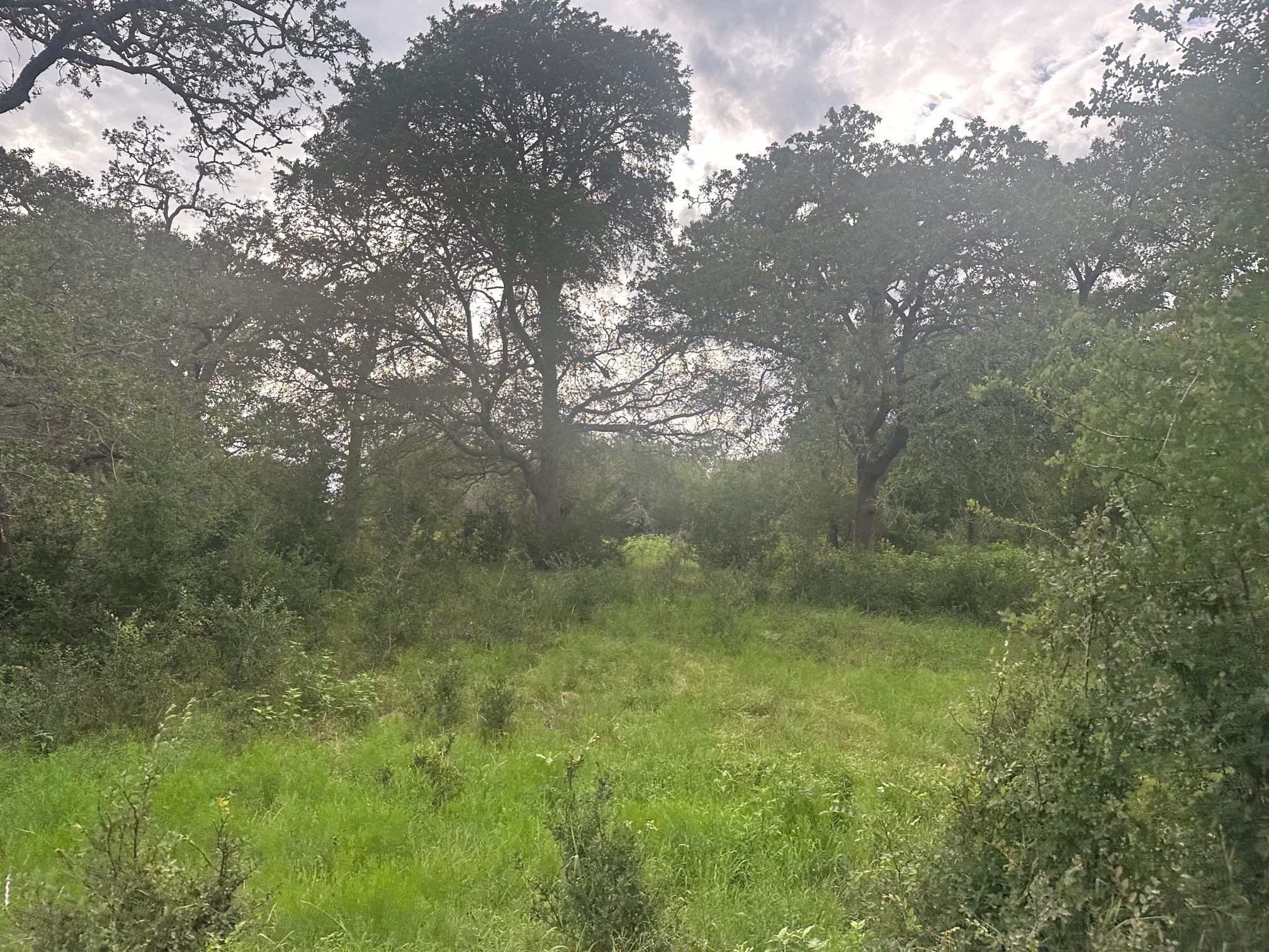 8616 Schuster Road Property Photo 8