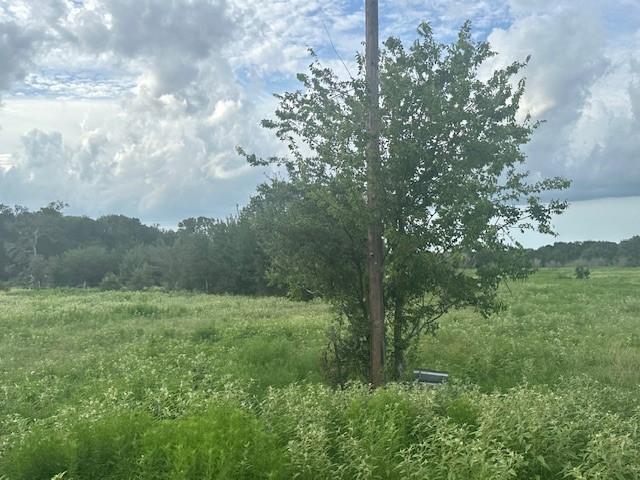 8616 Schuster Road Property Photo 19