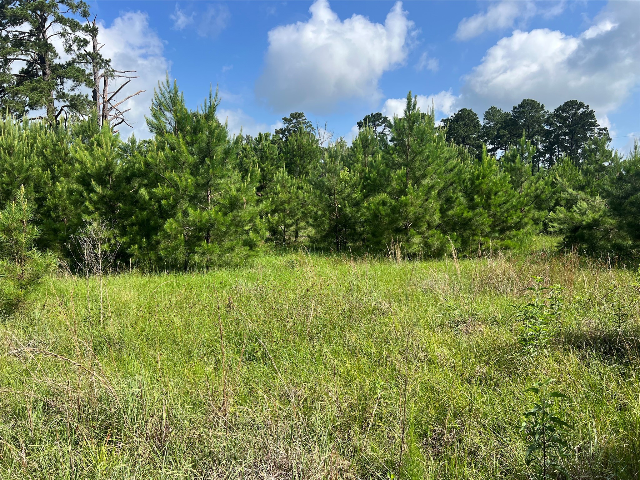 Tbd Fm 1988 Property Photo 10