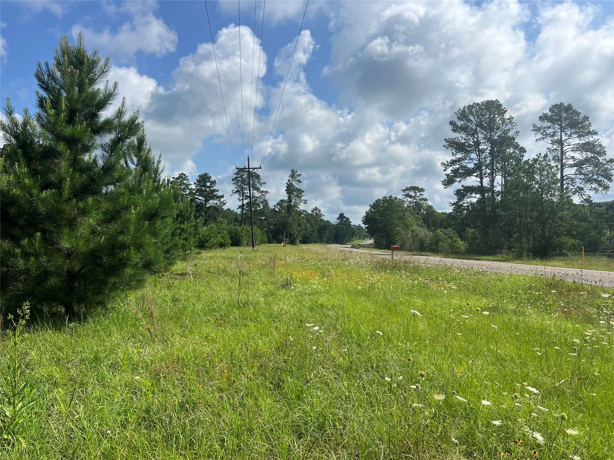 Tbd Fm 1988 Property Photo 11