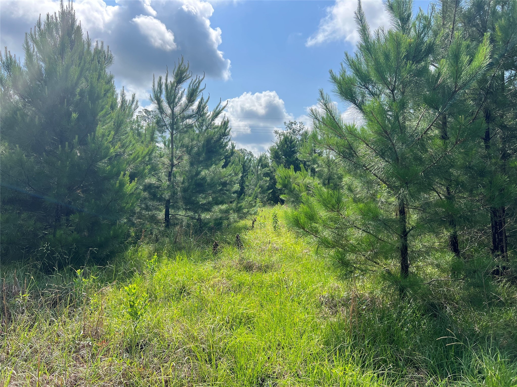 Tbd Fm 1988 Property Photo 12