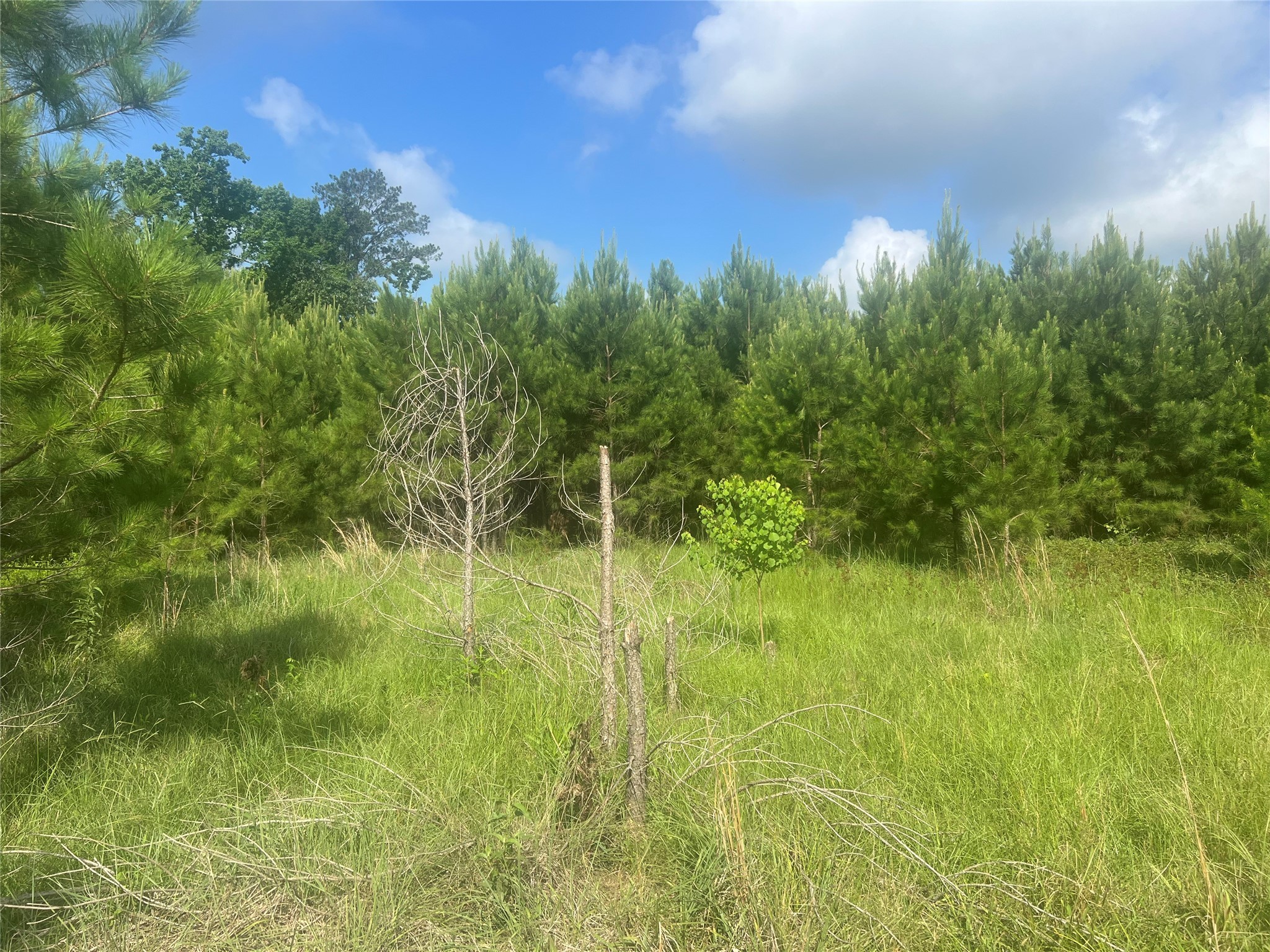 Tbd Fm 1988 Property Photo 13