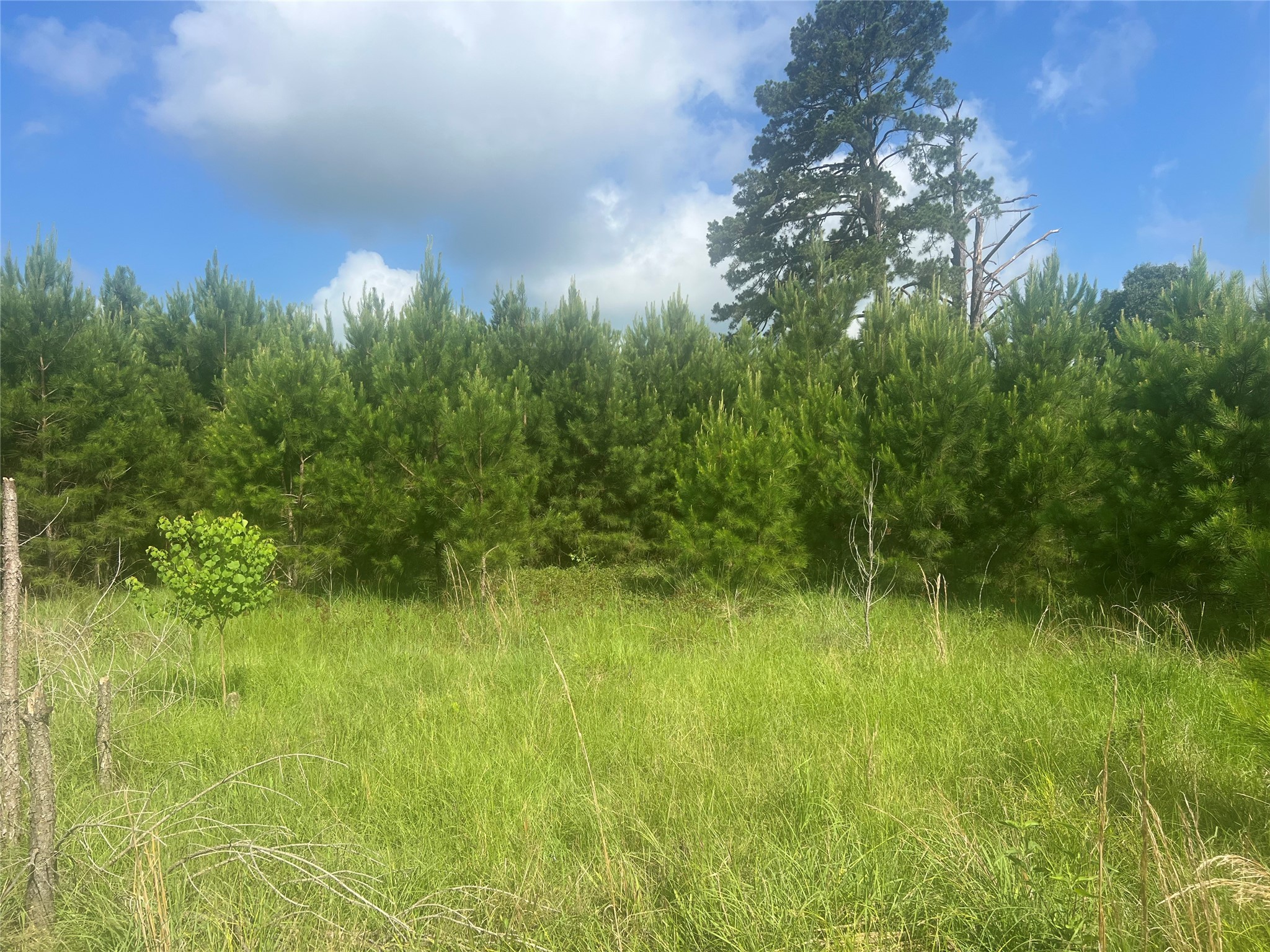 Tbd Fm 1988 Property Photo 14