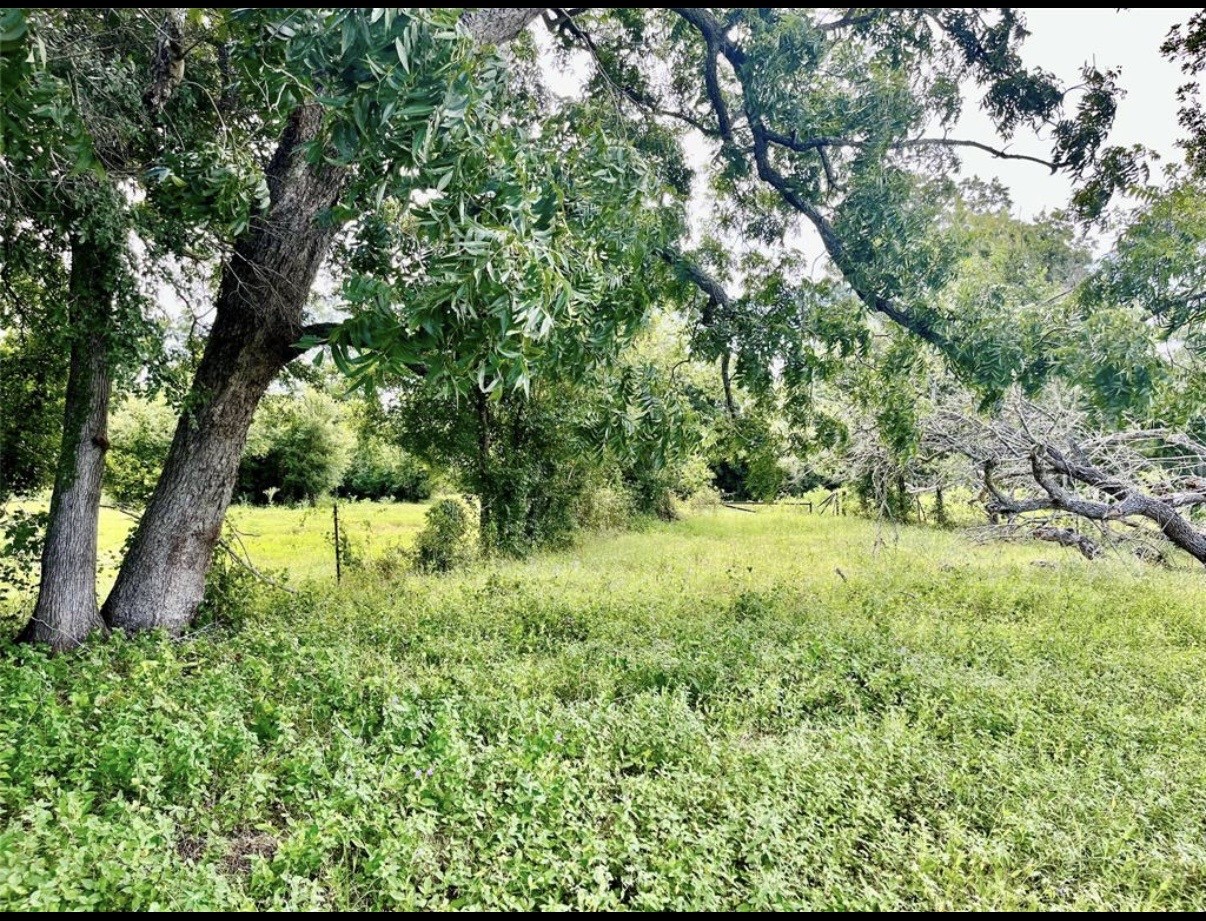 0 S County Road 263 Property Photo 4